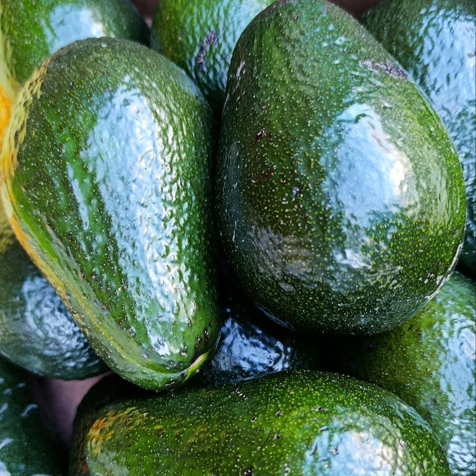 Авокадо