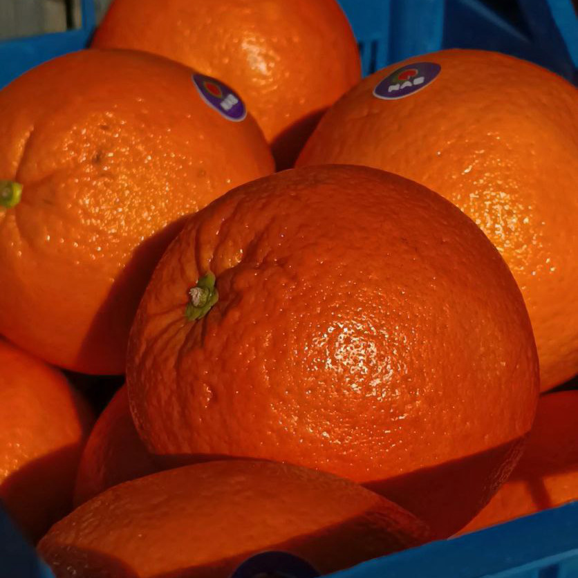 Апельсин Иран