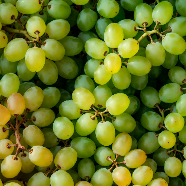 Виноград зелёный